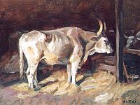 Viski János (1891-1987)