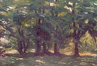 Viski János (1891-1987)