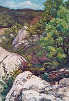 Widder Félix (1874-1939)