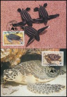 1983 WWF: Teknősök sor Mi 541 A-544 A 4 db CM-en
