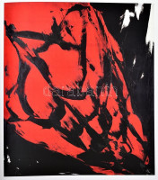 Köpeczky Róna, Kürti Emese, Makláry Kálmán (szerk.): Reigl Judit. Űr és extázis. Bp., 2014, Ludwig Múzeum. 204p. Reigl Judit műveinek reprodukcióival gazdagon illusztrált. Kiadói papírkötés, jó állapotban.
