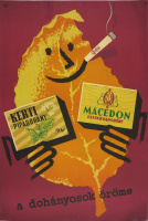 Kerti pipadohány, Macedon szivarkadohány - a dohányosok öröme - Grafikus: Macskássy