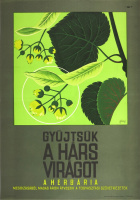 Gyűjtsünk Hárs virágot - A Herbária megbízásából magas áron átveszik a Fogyasztási Szövetkezetek - Grafikus: Gönczi Tibor