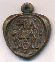 DN 'Szentendre - Hálapénz / Hálából' kétoldalas, öntött bronz medál, füllel (27x23mm) T:1-