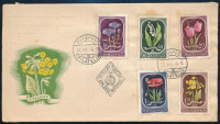 1951