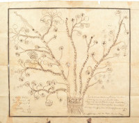 1817 jékelfalusi Jékelfalusi László családfája. Kézzel rajzolt. Kis szakadásokkal 49x42 cm