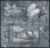 1999 Földrészek állatai feketenyomat blokk fekete sorsszámmal (20.000)