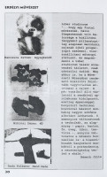 2000-2016 Erdélyi Művészet művészeti folyóirat 1-4,6-7,9-24,26-36, 39, 43-44, 48-51. számai. Közte I. évf. 1. szám is. Összesen: 40 szám, hiányoznak: 5,8,25,37,38,40,41,42,45,46,47. Szerk.: Veres Péter. Székelyudvarhely,