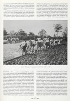 Magyarország agrártörténete. Agrártörténeti tanulmányok. Szerk.: Orosz István, Für Lajos, Romány Pál. Bp., 1996., Mezőgazda. Kiadói kartonált papírkötés, volt könyvtári példány.