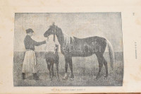 Kovácsy Béla - Monostori Károly: A ló és tenyésztése. 600 képpel, 14 műmelléklettel és 1 színes lótenyésztési térképpel. Bp., 1905., Pátria, XII+653+(3) p. + 14 (fekete-fehér képtáblák) t. +1 (kihajtható térkép) t.
