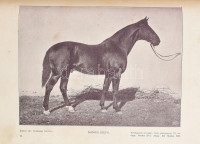 Kovácsy Béla - Monostori Károly: A ló és tenyésztése. 600 képpel, 14 műmelléklettel és 1 színes lótenyésztési térképpel. Bp., 1905., Pátria, XII+653+(3) p. + 14 (fekete-fehér képtáblák) t. +1 (kihajtható térkép) t.