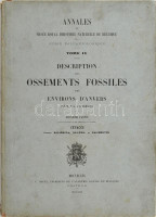 Beneden, [Pierre-Joseph] van: Description des ossements fossiles des environs d'Anvers. Annales du Musée Royal d'Histoire Naturelle de la Belgique - Série Paléontologique Tome IV. Bruxelles, 1880, F. Hayez, 81 p. Francia nyelven. Kiadói