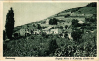 1939 Badacsony, Szegedy Róza és Kisfaludy Sándor ház, szőlőhegy