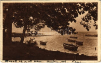 Balaton, Csendélet (fa)