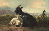 Ziege und Zicklein / Goats litho s: Jacques Raymond Brascassat (EK)