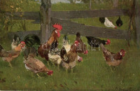 Federvieh / Chickens with rooster, Erpaco Faksimile-Ölgeämhle Serie 6/2., artist signed