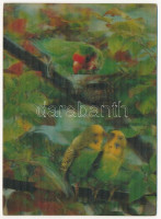 1969 Papagájok. Modern 3D dimenziós képeslap / Parrots. Modern 3D dimensional postcard (fl)