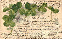 1901 Clover, greeting card, litho (EB)