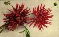 1917 Flowers. Photochromie Serie 537. Nr. 1110. + 'M. kir. 5. népfölkelő gyalogezred 3. zászlóalj parancsnoksága' (fa)