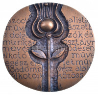 Asszonyi Tamás (1942-) 1972. 'SZOT Díj 1972' kétoldalas bronz díjérem, eredeti kissé kopottas tokban (~86-88mm) T:1