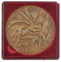 Árvai Ferenc (1935-2004) (?) DN 'Művelődés Szolgálatáért Díj' egyoldalas bronz plakett sérült bordó színű tokban (80mm) T:2 patina