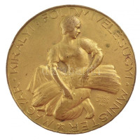 Berán Lajos (1882-1943) 1929. 'Magyar Királyi Földmívelésügyi Minister / A mezőgazdaság terén szerzett érdem elismeréséül' aranyozott bronz emlékérem, hátlapon 'BUDAPEST 1930 DEC 4-8' gravírozással (60mm) T:2- kopott