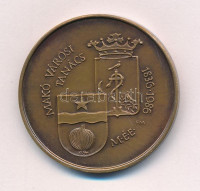 Fritz Mihály (1947-) 1986. '150 éves a Makói Városi Tanács épülete' kétoldalas Br emlékérem (42,5mm) T:1- ph