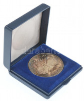 Fritz Mihály (1947-) 1992. 'Hévíz város 1992. május 1.' kétoldalas fém emlékérem dísztokban (42mm) T:1- (PP) patina, ujjlenyomat