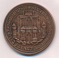 Kutas László (1936-) / Lebó Ferenc (1960-) 1992. 'MÉE XXII. Vándorgyűlése Esztergom' bronz emlékérem (42,5mm) T:1- Adamo EM3