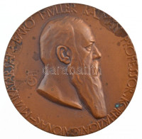 Beck Ötvös Fülöp (1873-1945) 1911. 'Báró Müller Kálmán Professor Kórházigazgatónak - Munkatársai / 1887-1911' kétoldalas bronz plakett (70mm) T:2 patina, kis karc /Hungary 1911. 'For Professor Baron Kálmán Müller Hospital