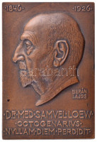 Berán Lajos (1882-1943) 1926. 'Dr. Lőw Sámuel belgyógyász 80. születésnapjára' egyoldalas bronz emlékplakett (100x67mm) T:1- patina / Hungary 1926. 'For the 80th birthday of Dr. Samwell Loew' one-sided bronze commemorative plaque.