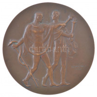Reményi József (1887-1977) 1934. 'Prof. Török Lajos Dr.' kétoldalas bronz emlékplakett (94mm) T:1-,2 kis patina, ü., ph.