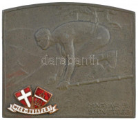 Berán Lajos (1882-1943) 1948. 'Magyar Sí Szövetség' bronz plakett, zománcozott rátéttel, hátlapon gravírozott évszámmal (49x56mm) T:1-