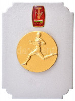 Iván István (1905-1968) DN 'SZOT (Szakszervezetek Országos Tanácsa)' zománcozott, aranyozott fém sport plakett (95x70mm) T:2 kopott aranyozás