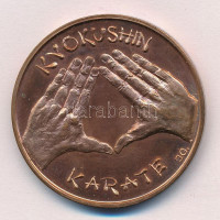 Lapis András (1942-), Józsa Gábor (1955-) DN 'Kyokushin Karate' kétoldalas Br emlékérem T:1,1- patina