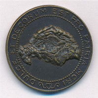 ~1920-1930. 'DULCE ET DECORUM EST PRO PATRIA MORI (Édes és dicső dolog a hazáért feláldozni az életet) / A Budapesti Középiskolai Athletikai Club Versenydíja' kétoldalas Br díjérem (30mm) T:1- kis patina
