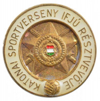 ~1970-1980. 'Katonai Sportverseny Ifjú Résztvevője' műgyantás, zománcozott, aranyozott fém jelvény (25mm) T:1- patina