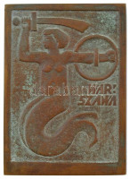 Lengyelország 1954. 'Varsó' Br díjplakett, hátoldalán gravírozott 'Nemzetközi atlétikai verseny férfi gerelyhajító III. hely' szöveggel, eredeti tokban (83x61mm) T:2Poland 1954. 'Warszawa' Br award plaque with engraved 'International