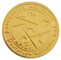 Mexikó 1998. 'Mexikói Öttusa Szövetség / Öttusa Világbajnokság - Mexikó, 1998' aranyozott Br emlékérem (48mm) T:1-Mexico 1998. 'Federacion Mexicana Pentatlon Moderno (Mexican Modern Pentathlon Federation) / Campeonato Mundial de