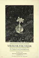 Virágok, fák, tájak - Dr. Vajda Ernő fotókiállítása - Magyar Nemzeti Galéria -