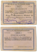 1907. Első csász. kir. szab. Duna-Gőzhajózási Társaság kétnyelvű idényjegye