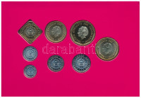 Holland Antillák 1999. 1c - 5G (8xklf) forgalmi sor szettben, karton dísztokban T:UNCNetherlands Antilles 1999. 1 Cent - 5 Gulden (8xdiff) coin set in cardboard case C:UNC