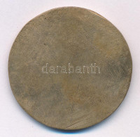 1979. 'A szegedi árvíz 100 éves évfordulójára' egyoldalas Br emlékérem (41mm) T:2- ph