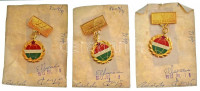 1973. 'Törzsgárda Utasellátó' műgyantás fém jelvények 5 és 20 év után (3db/2xklf) (~50x28mm) T:XF
