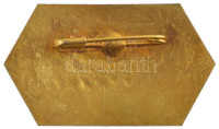 Tunézia 1973. 'Carthage 1973' zománcozott bronz jelvény (24x41mm) T:1-Tunisia 1973. 'Carthage 1973' enamelled bronze badge (24x41mm) C:AU