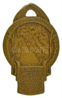 Olaszország 1918. 'Győzelmi emlékmedál Trento és Trieszt visszaszerzése emlékére' bronz háborús emlékmedál. Szign.: L. Sacchini (38x24mm) T:XF,VFItaly 1918. 'Victory medal commemorating the recapture of Trento and Trieste' bronze war